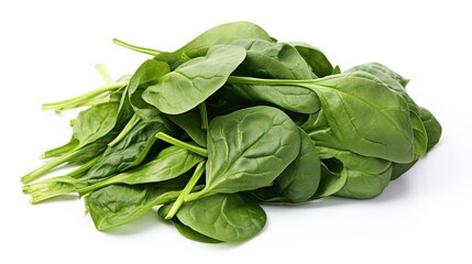 Organic Fresh Spinach Leaves Isolated on White Background