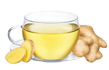 Cup of ginger tea isolated on white or transparent background. Herbal hot drink with ginger root.