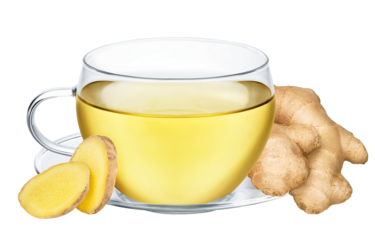 Cup of ginger tea isolated on white or transparent background. Herbal hot drink with ginger root.