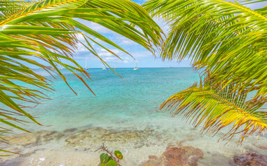 Plage dans la Mer des Caraïbes sans personne.	