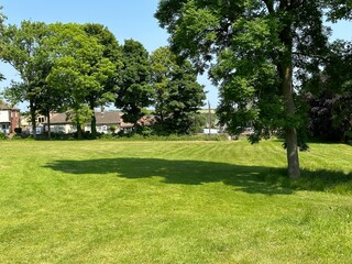 Fototapeta na wymiar Green space, with wild plants, old trees, houses, and a blue sky near, Cross Road, Oakenshaw, Bradford, UK