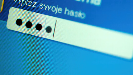 Personal user account access password input field on a computer monitor screen, display macro,...
