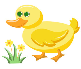 Duck and grass with flower on white background. Farm animals. Cartoon vector illustration for children's book.