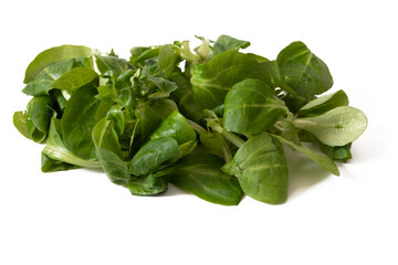 A handful of lamb's lettuce leaves, isolated on a white background. Arugula leaves, showcase a rich shade of green, promising a fresh and flavorful addition to culinary creations.