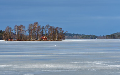 landscape with snow covered trees