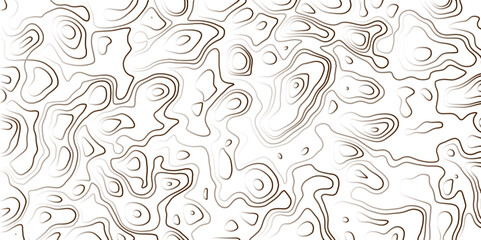 Abstract Topographic map. Geographic mountain relief. Abstract lines background. Topo contour map on white background, Topographic contour lines vector map seamless pattern vector illustration.