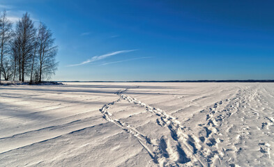 footprints in the snow