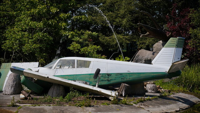 crashed single-engine aircraft. Crashed plane with dismembered passengers