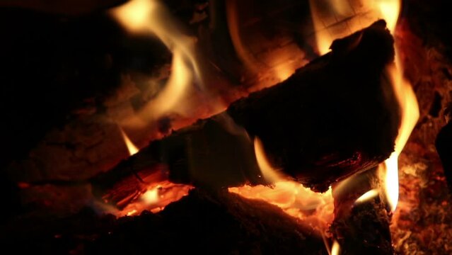 Camp fire at night, close up, nature background
