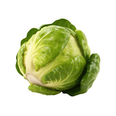 Salad young cabbage closeup isolated on transparent background