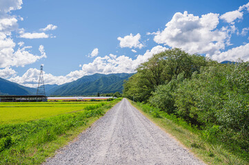 田舎の真っすぐに続く砂利道