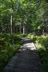 La Plaine 27 Août 2023