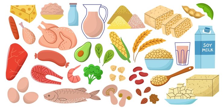 Protein food. Cartoon dairy and meat products, diet healthy meal, healthcare, avocado, broccoli, cereals, organic ingredients, vector set