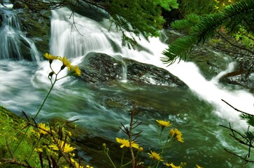 waterfall on the summer river