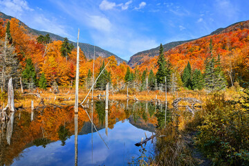Beautiful autumn colors along a lake with reflections in the Green Mountains countryside of...