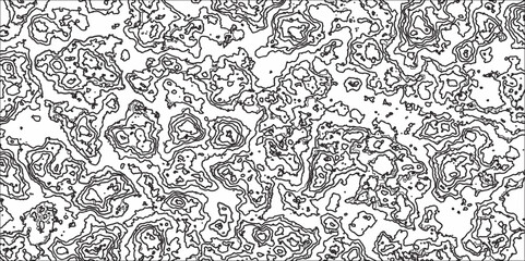 Topographic map background concept with space for your copy. Topo contour map background, vector illustration Abstract geography scheme in lines and contours. Black on white background.
