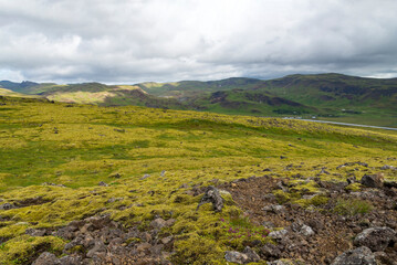Fototapeta na wymiar Paysage islandais avec en fond des montagnes