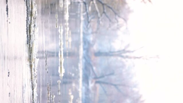 Picturesque winter landscape with forest on riverbank and drifting ice on water.