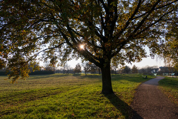 Obraz premium Sonnenuntergang am Ooser Landgraben in Baden-Baden Sandweier