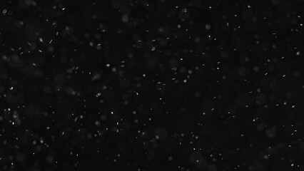 Particles overlay. Bokeh circles texture. Winter snowfall. Defocused white round powder flying on dark black copy space abstract background. - obrazy, fototapety, plakaty