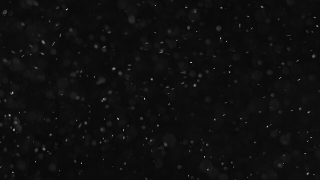 Particles overlay. Bokeh circles texture. Winter snowfall. Defocused white round powder flying on dark black copy space abstract background.