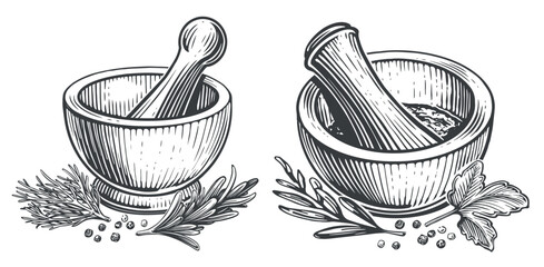 Mortar and pestle engraving style sketch. Herbs and spices vector illustration