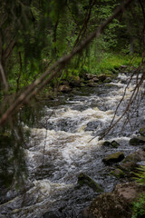 A beautiful view of a small waterfall in a forest with green trees.