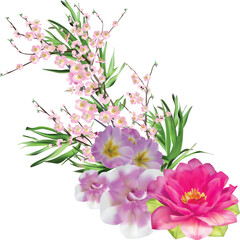 large and small pink flowers bunch isolated  on white