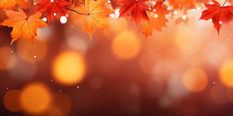 Autumnal Bliss, Vibrant Maple Leaves Set the Stage for End-of-Year Adventures