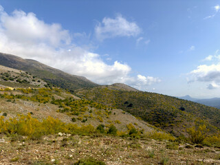 Fototapeta na wymiar mountainous landscape with blooming gorse near Ronda in Andalusia, Spain, Europe 