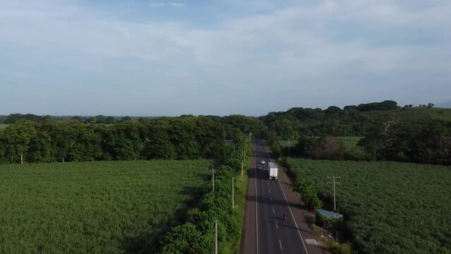 Carretera serpenteante, abrazada por altos &aacute;rboles, crea un t&uacute;nel natural de sombra y belleza en el trayecto.