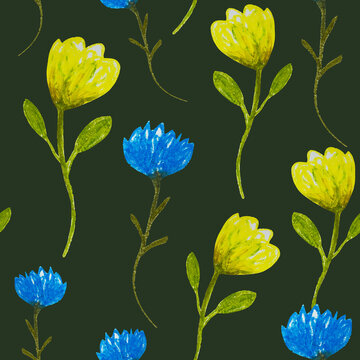 Seamless pattern with yellow and blue flowers of Cornflower (Centaurea cyanus), flowers as a color symbol of the flag of Ukraine. This combination of colors creates a unique composition. © Julia