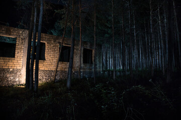 Old abandoned building in forest, Facade ruins of industrial factory. Spring long pine forest