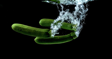 Long Courgette or Zucchini, cucurbita pepo, Vegetable falling into Water against black background