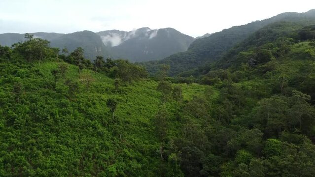 Cr&aacute;ter volc&aacute;nico, ahora verde, contrasta asombrosamente: vida resurge en el antiguo abismo, fusionando naturaleza y fuerza geol&oacute;gica.
