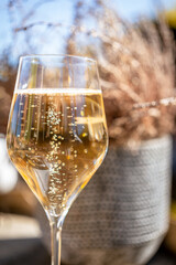 Glass of champagne with bubbles