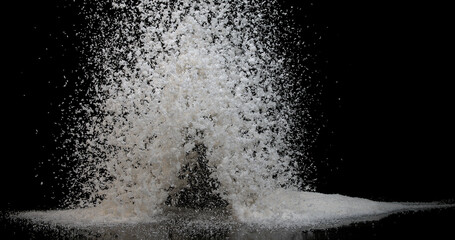 Coconut, cocos nucifera, Powder falling against Black Background