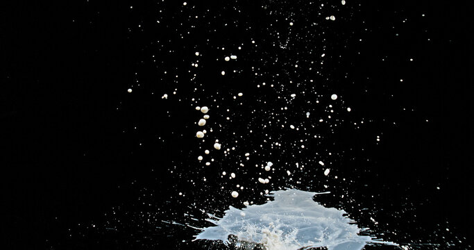 Milk Bouncing and Splashing on Black Background
