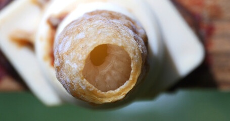 European Honey Bee, apis mellifera, Queen cell seen from above, we see the Larvae breathe, Bee Hive...