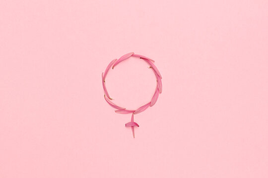 Female gender symbol made with pink flower petals on pink abstract background. Woman medicine and health concept: hormones, menopause, pms, menstruation or estrogen level disorder.