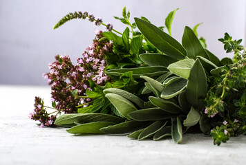 Composition on a light gray background, herbs, thyme, mint, oregano and sage..