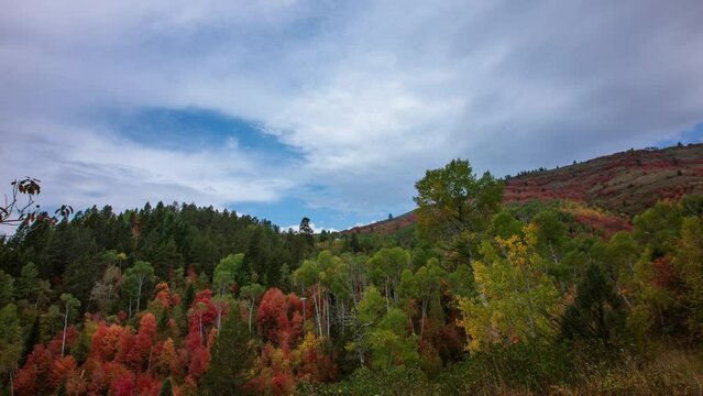 Time-lapse -  Stunning autumn fall foliage mountain and blue clouded sky