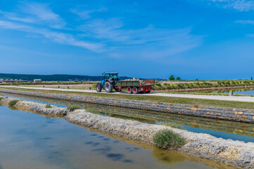Fototapeta premium A view of activity at the salt pans at Secovlje, near to Piran, Slovenia in summertime