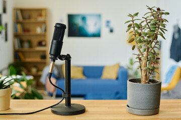 Focus on microphone and flowerpot with green domestic plant standing on wooden table in front of...
