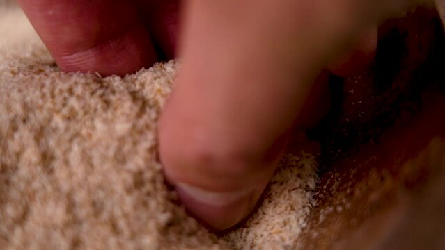 Hand of a nutritionist takes with fingers a pinch of psyllium husk from a pile in a wooden bowl closeup in slow motion