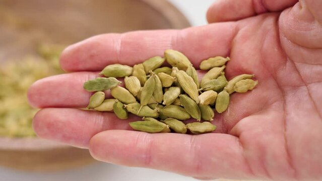 Dried cardamom seed pods in the cook hand. Green natural spicy cardamon seasoning in wooden bowl on background
