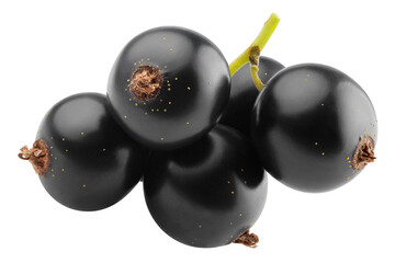 Black Currant isolated on white background, full depth of field
