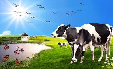 Farm life in spring day. Animals, water and blue sky.
