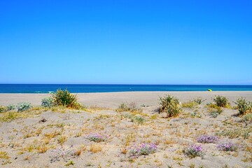 view of the wonderful beach Playa de la Hacienda near La Alcaidesa at the Mediterranean Sea,...