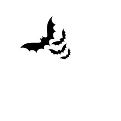 bats